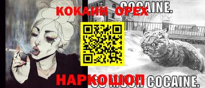 тгк Новодвинск
