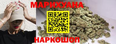 тгк Новодвинск