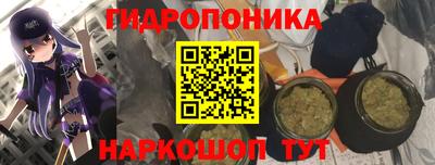 тгк Новодвинск