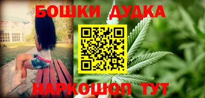 индика Новокубанск