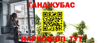 индика Новокубанск