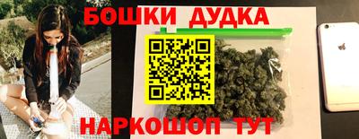 тгк Новодвинск