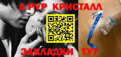 тгк Новодвинск