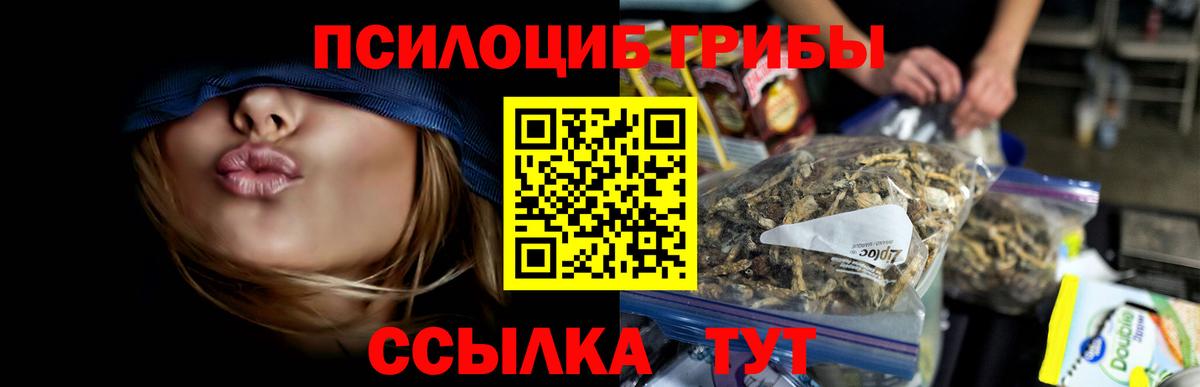 Псилоцибиновые грибы Psilocybe  Вход с VPN  Советск 