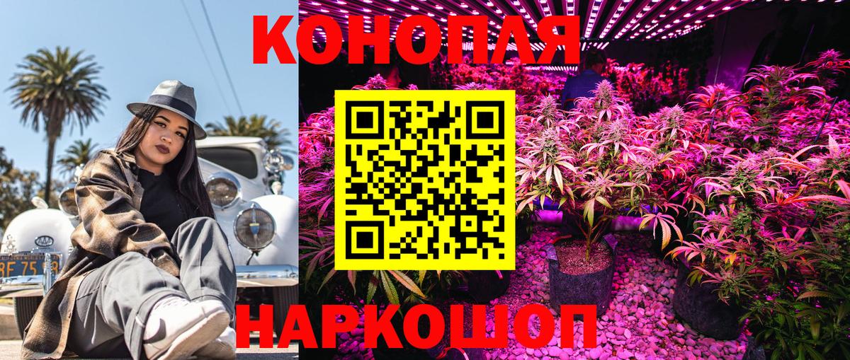 Советск  Конопля Bruce Banner  Бошки Шишки конопля  Конопля AK-47  Вход с VPN 